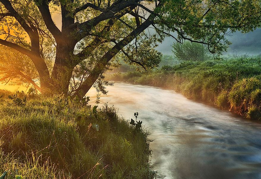 Papermoon Fototapete "Fluss am Baum" günstig online kaufen