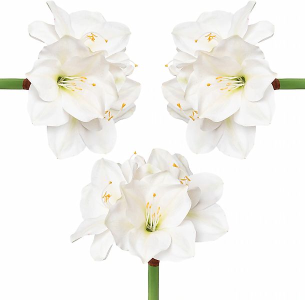 Winterliche Kunstpflanze Weihnachtsdeko Amaryllis, Creativ deco, Höhe 56 cm günstig online kaufen