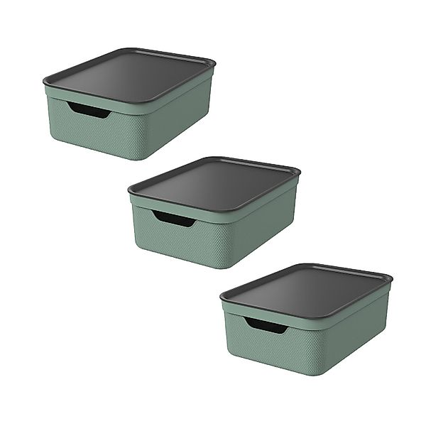 ROTHO Aufbewahrungsbox 3er Set Aufbewahrungsbox mit günstig online kaufen
