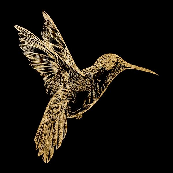 OTTO home Acrylglasbild »Kolibri - Acrylbilder mit Blattgold veredelt« Kuns günstig online kaufen