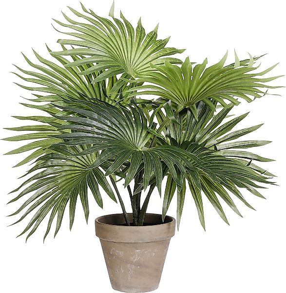 Kunstpflanze Mica Kunstpflanze Palme grün im günstig online kaufen