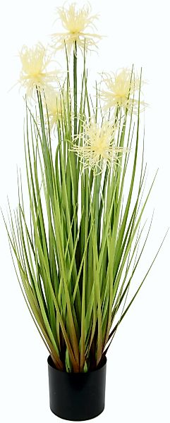 Kunstgras Proteagras, I.GE.A., Höhe 68 cm, im Kunststofftopf günstig online kaufen