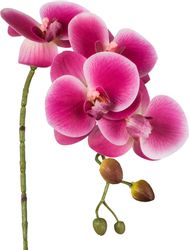 Creativ green Kunstblume "Phalaenopsis 3D-print" mit Real-Touch-Blüten günstig online kaufen
