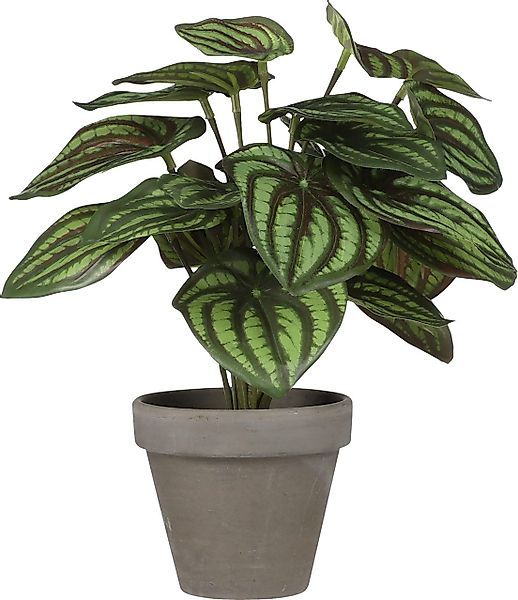 Kunstpflanze Mica Kunstpflanze Peperomia grün im günstig online kaufen