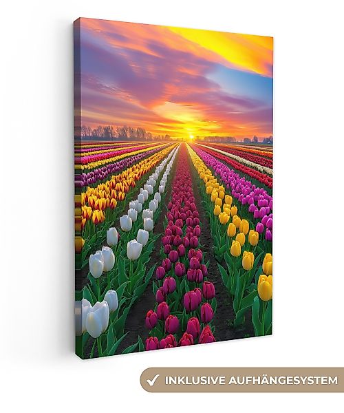 OneMillionCanvasses® Leinwandbild Tulpenfeld - Sonnenuntergang - günstig online kaufen