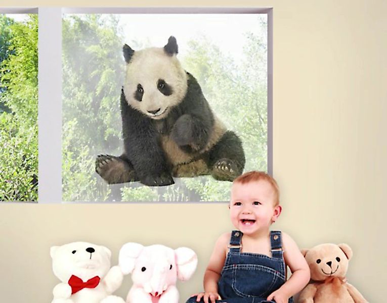 Fensterfolie Panda Tatzen günstig online kaufen