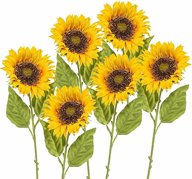 Kunstblume, Creativ green, Höhe 66 cm, günstig online kaufen