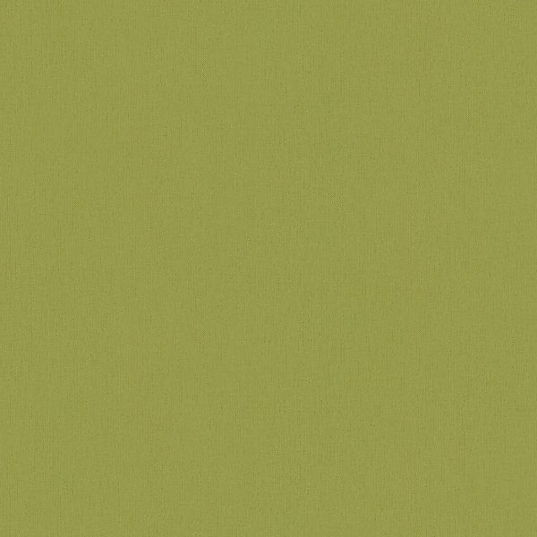 Bricoflor Grüne Vliestapete im Uni Stil Wohnzimmer und Esszimmer Tapete in günstig online kaufen