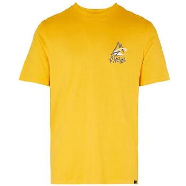 O'neill  T-Shirts & Poloshirts 2850159-12021 günstig online kaufen