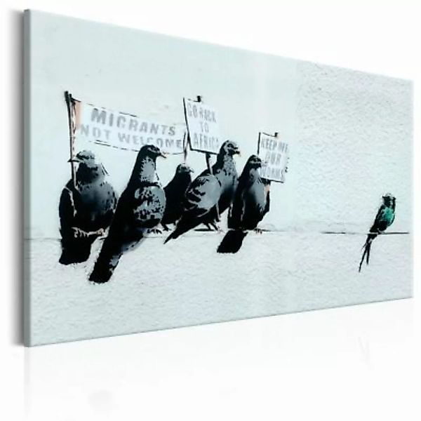 artgeist Wandbild Protesting Birds by Banksy mehrfarbig Gr. 60 x 40 günstig online kaufen