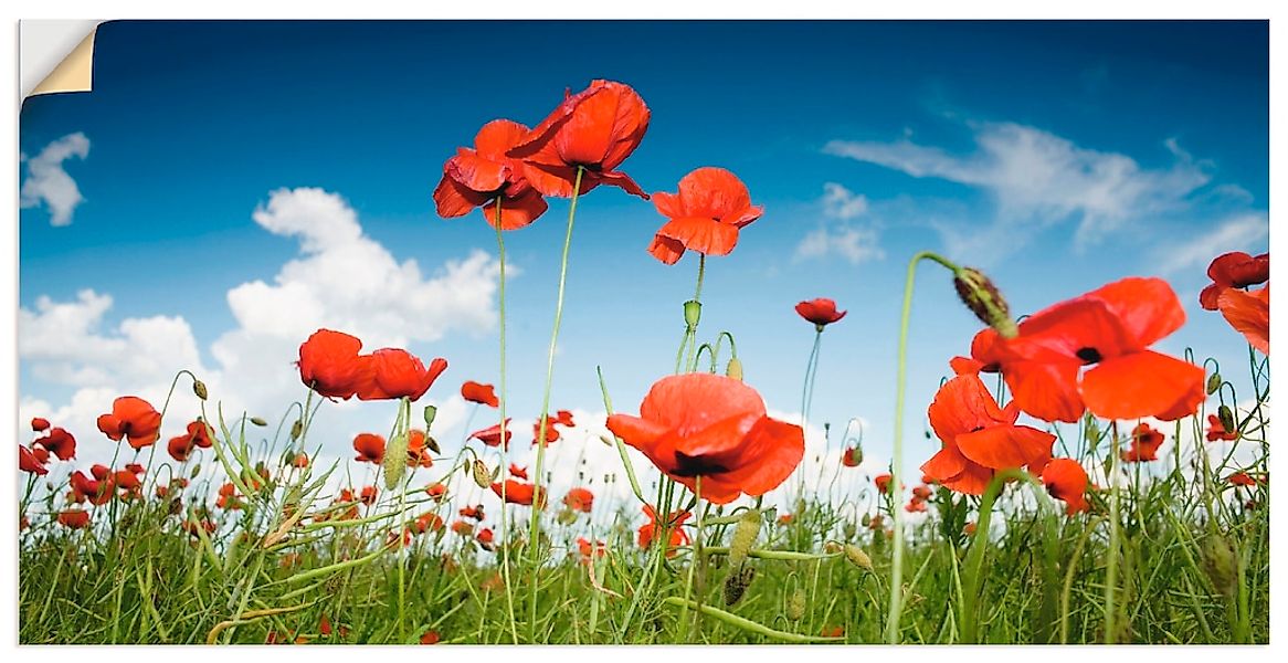 Artland Wandbild "Feld mit Mohnblumen unter Himmel", Blumenwiese, (1 St.), günstig online kaufen