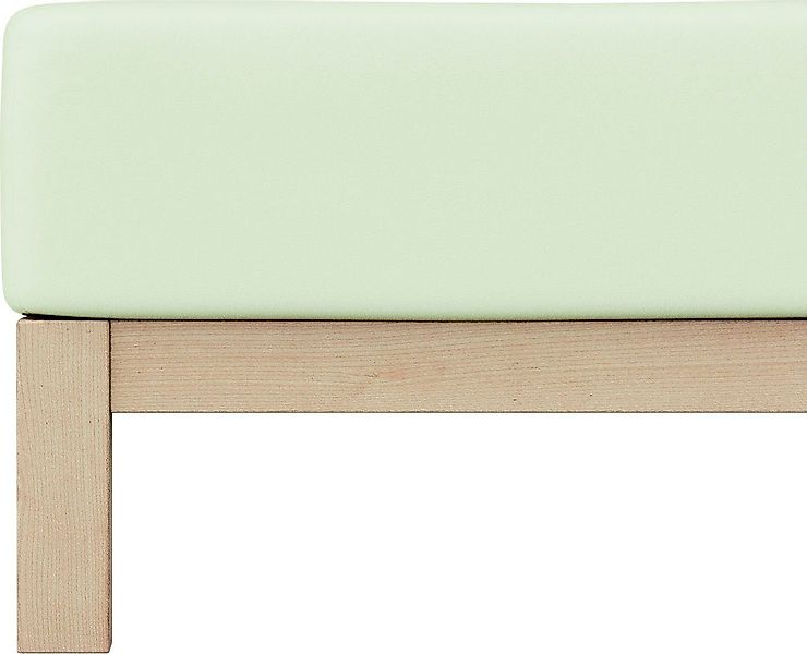Schlafgut Spannbettlaken PURE Bio-Baumwolle mit Elasthan, günstig online kaufen