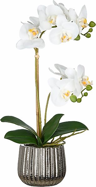 Creativ green Kunstorchidee "Orchidee Phalaenopsis", mit real-touch-Blüten günstig online kaufen