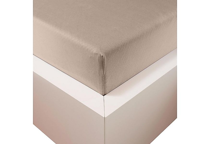 Traumschloss Spannbettlaken Premium Plus, Jersey, Gummizug: rundum, (1 Stüc günstig online kaufen