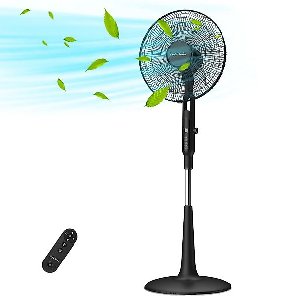 Taylor Swoden Standventilator DC 25DB Leise günstig online kaufen