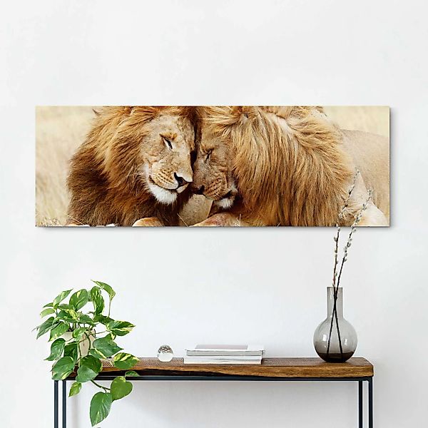 Reinders! Wandbild »Löwenliebe« günstig online kaufen