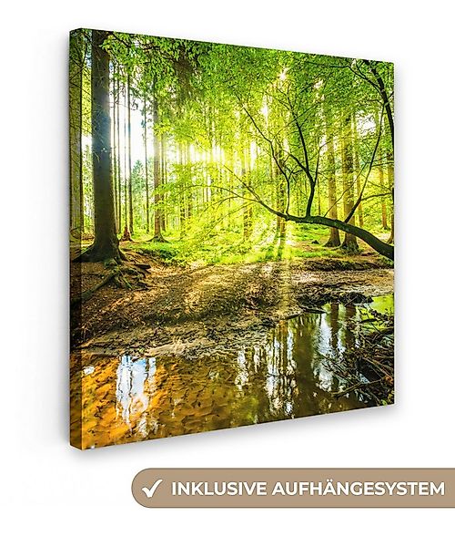 OneMillionCanvasses® Leinwandbild Wald - Landschaft - Wasser - Bäume - Sonn günstig online kaufen