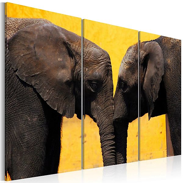 Wandbild - Elefantenliebe günstig online kaufen