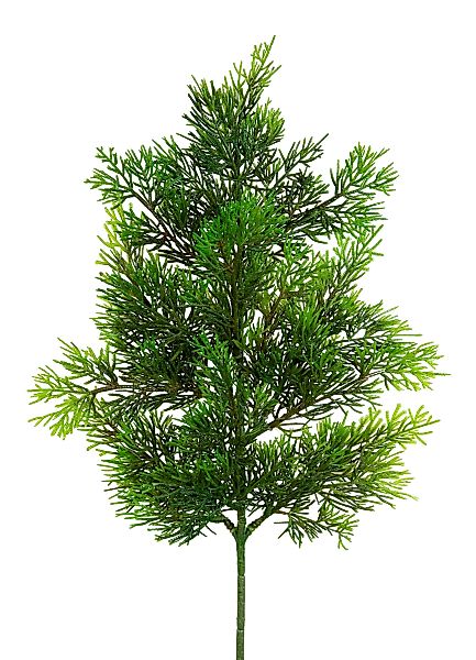 Kunstzweig Zedernzweig Nature ZJ Kunststoff 100% günstig online kaufen