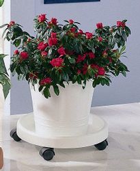 Ruco Blumentopfuntersetzer Kunststoff, Ø 34 cm günstig online kaufen