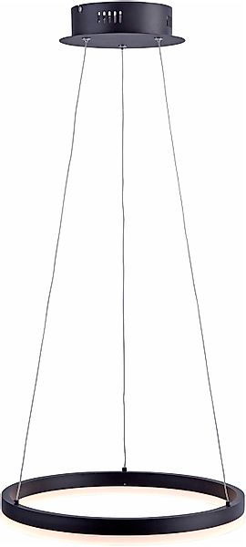 Paul Neuhaus Pendelleuchte »TITUS« LED-Board 1 Stk. Warmweiß LED, dimmbar, günstig online kaufen