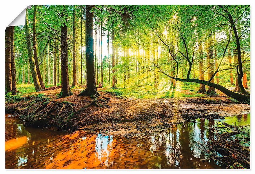 Artland Wandbild "Wald mit Bach", Wald, (1 St.), als Alubild, Outdoorbild, günstig online kaufen