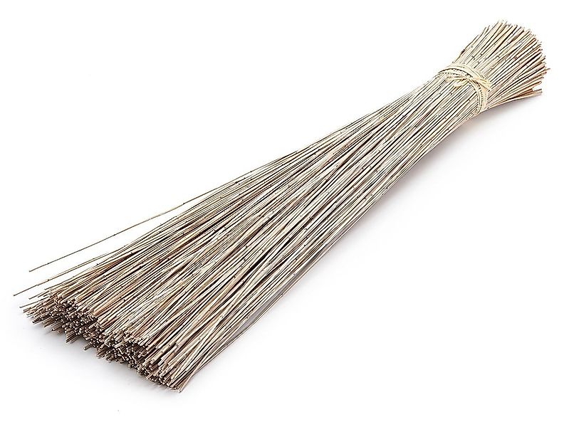 Trockenblume Vleireed Weiß 75cm 1kg Restio günstig online kaufen