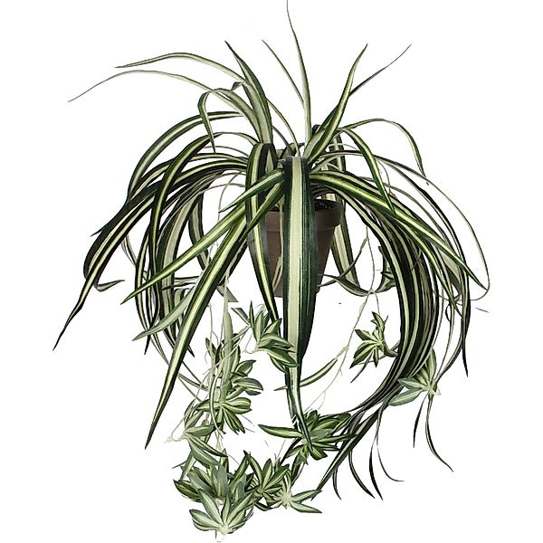 Mica Decorations Kunstpflanze Chlorophytum in Topf H 45 cm, Ø: 45 cm günstig online kaufen