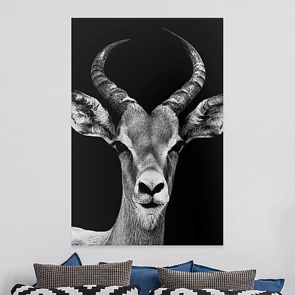 Leinwandbild - Hochformat Impala Antilope schwarz-weiß günstig online kaufen