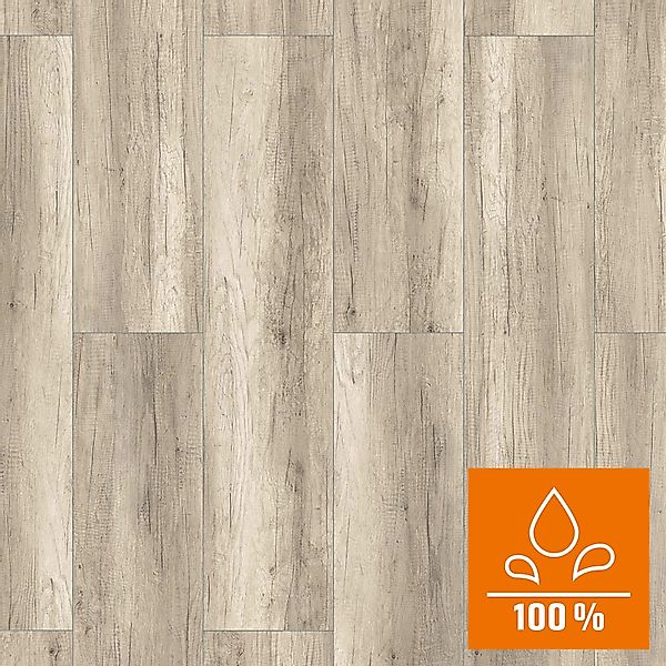 Classen XL Laminat 8 mm Wasserfest Eiche Grau günstig online kaufen