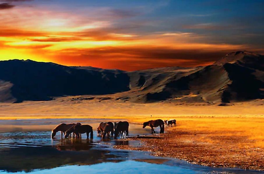 Papermoon Fototapete »Mongolian Horses« günstig online kaufen