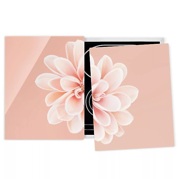 Herdabdeckplatte Blumen Dahlie Rosa Pastell Weiß Zentriert günstig online kaufen