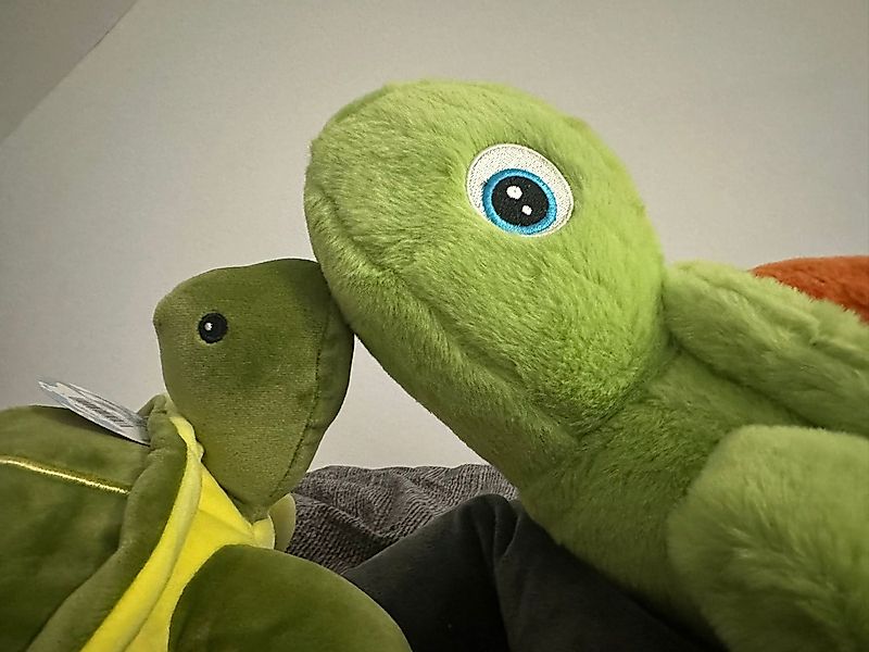 soma Kuscheltier Schildkröte Kuscheltier Plüschtier Stofftier XXL 45 cm grü günstig online kaufen