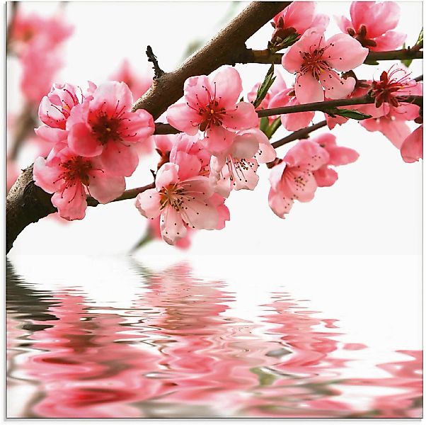 Artland Glasbild "Pfirsichblüten reflektieren im Wasser" 1 Stk. tlg. in ver günstig online kaufen