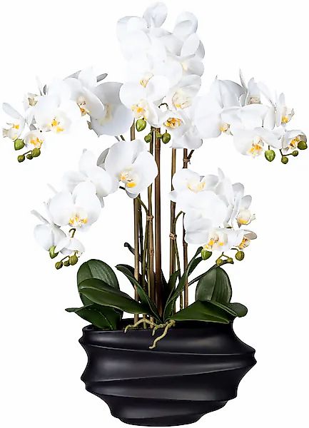 Creativ green Kunstorchidee »Phalaenopsis« in Design-Kunststoffvase günstig online kaufen