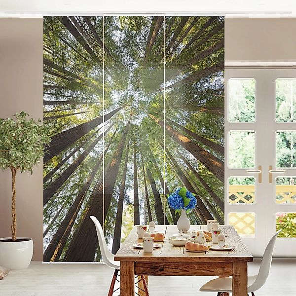Schiebegardinen Set Natur & Landschaft Mammutbaum Baumkronen günstig online kaufen