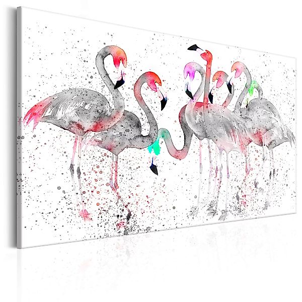 Wandbild - Flamingoes Dance günstig online kaufen