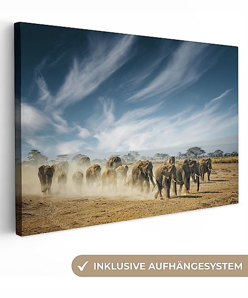 OneMillionCanvasses® Leinwandbild Elefanten - Tiere - günstig online kaufen