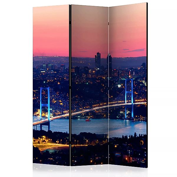 3-teiliges Paravent - Bosphorus Bridge [room Dividers] günstig online kaufen