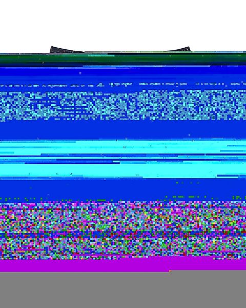 Element Bermudas "Big" günstig online kaufen