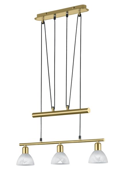 TRIO Leuchten LED Pendelleuchte LEVISTO, Seilzugmechanismus, günstig online kaufen
