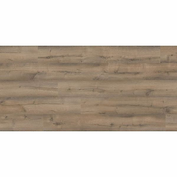 Kaindl Masterfloor Laminat 12 mm Eiche Historic Earth günstig online kaufen