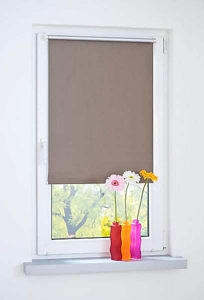 Seitenzugrollo, Liedeco, blickdicht, ohne Bohren, Klemmfix günstig online kaufen