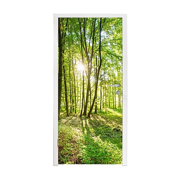 MuchoWow Türtapete Natur - Bäume - günstig online kaufen