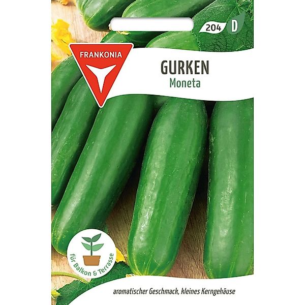 FRANKONIA Salatgurke Moneta günstig online kaufen