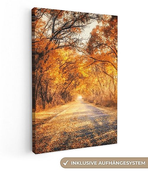 OneMillionCanvasses® Leinwandbild Wald - Herbst - Bäume - Weg - Natur, Foto günstig online kaufen
