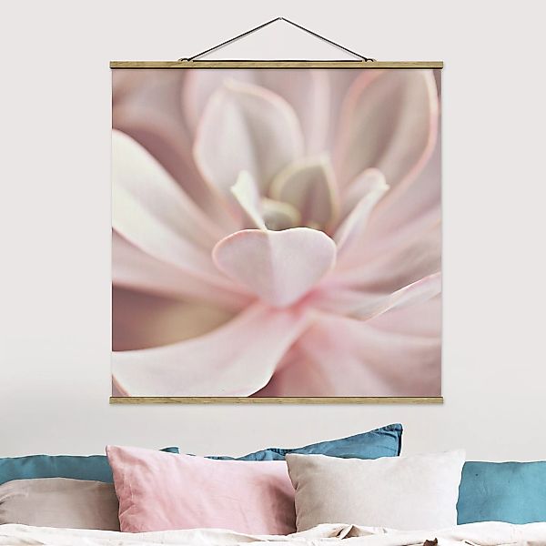 Stoffbild mit Posterleisten Rosane Sukkulentenblüte günstig online kaufen