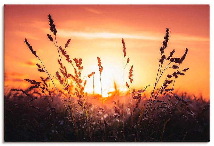 Artland Leinwandbild "Träumen" Felder 1 Stk. tlg. als Leinwandbild, Wandauf günstig online kaufen