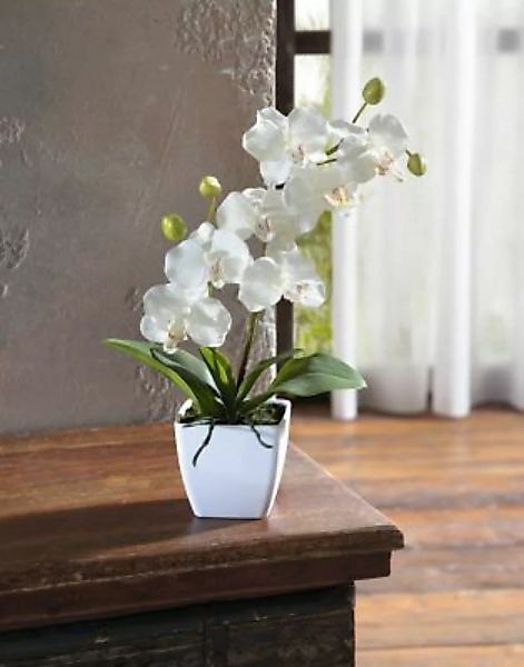HOME Living Deko-Orchidee SPAR-SET 2x Deko-Orchidee Kunstpflanzen weiß günstig online kaufen