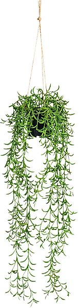 Kunstranke Nerifolia-Hänger Blatthänger, Creativ green, Höhe günstig online kaufen